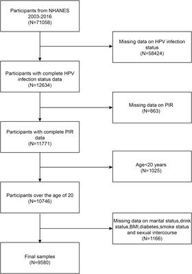 Association between family income to poverty ratio and HPV infection status among U.S. women aged 20 years and older: a study from NHANES 2003-2016